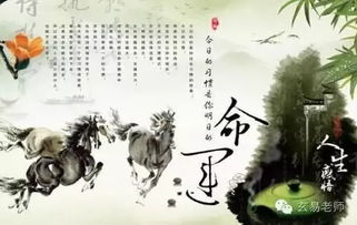 一命二运三风水四积德五读书