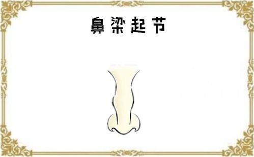 鼻梁骨有个凸起的骨头