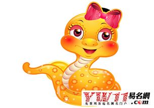 为什么属蛇女嘴巴厉害