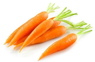 胡萝卜在五行的属什么