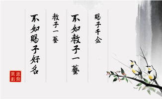 富贵双全命好不好