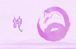 属蛇的2023年春节佩戴什么最旺财 紫水晶和金蟾饰品